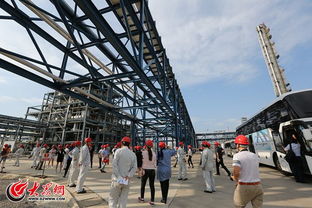 联泓集团 新材料引领高端外卖餐盒原料新纪元
