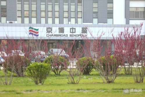 京博中聚新材料获评2022年省级绿色工厂，彰显绿色发展新局